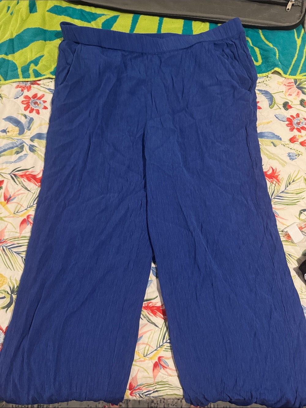 JM Collection Wide-Leg Pull-On Pants in Royal Blue